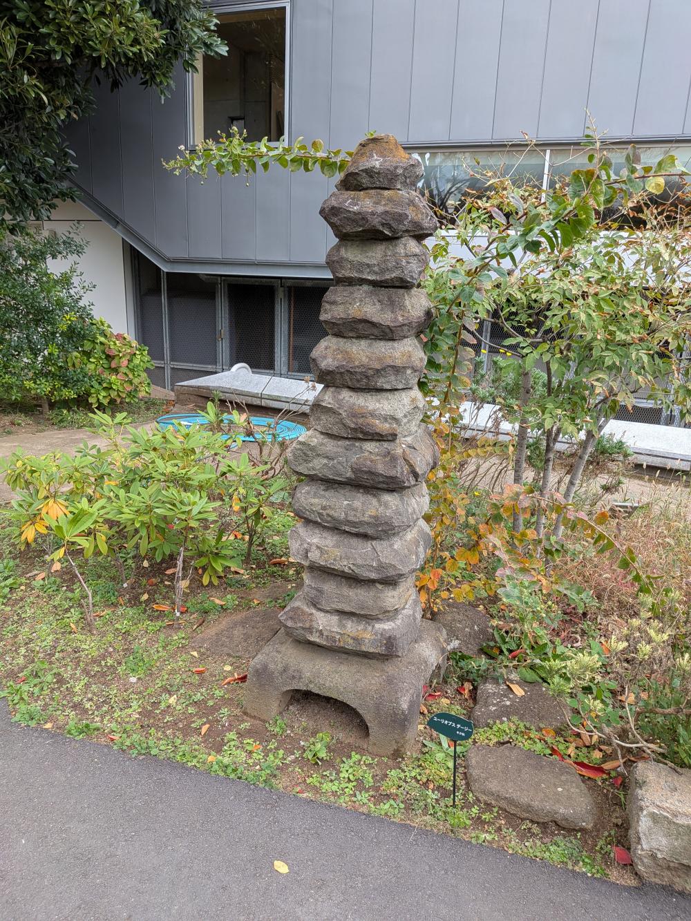 PXL_20251118_014451013